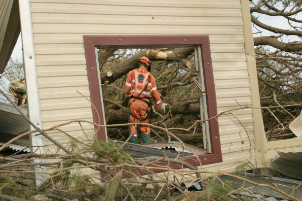 How Our Tree Care Process Works  in  Greenville, SC